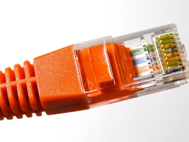 Hálózati kábel és RJ45 csatlakozó közelről